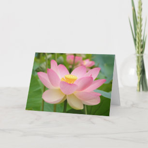 Lotus Blossum Greeting Card