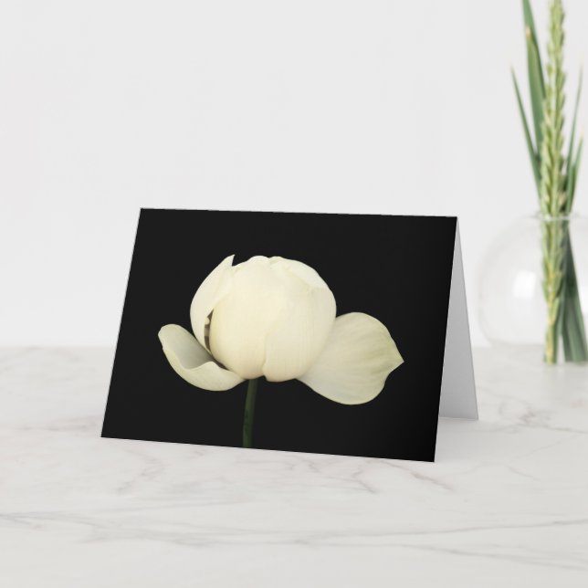 Lotus Bud Card (Front)