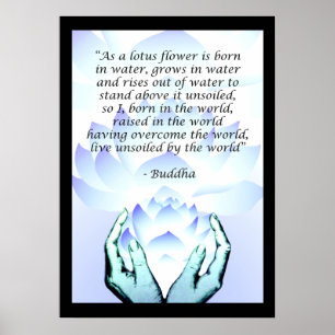 Lotus Buddha Flower Quote Blue Poster 2