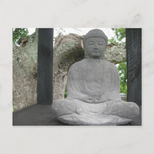 Lotus Buddha Postcard