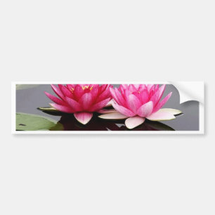 lotus bumper sticker