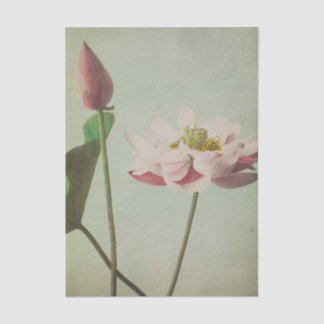 Lotus by Ogawa Kazumasa Tissue Paper