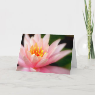 Lotus/Card Card