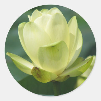 Lotus Classic Round Sticker