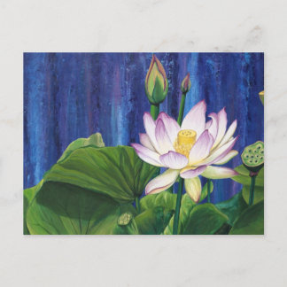 Lotus Dream Postcard