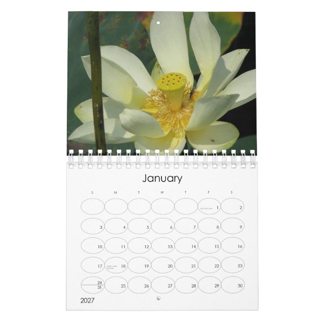 Lotus Flower 2008 Calendar (Jan 2027)