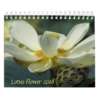 Lotus Flower 2008 Calendar