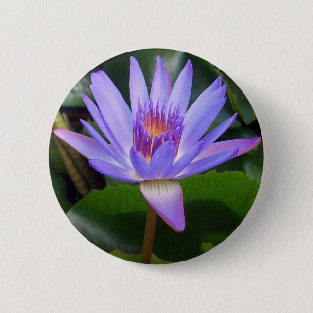 Lotus Flower 6 Cm Round Badge (Front)