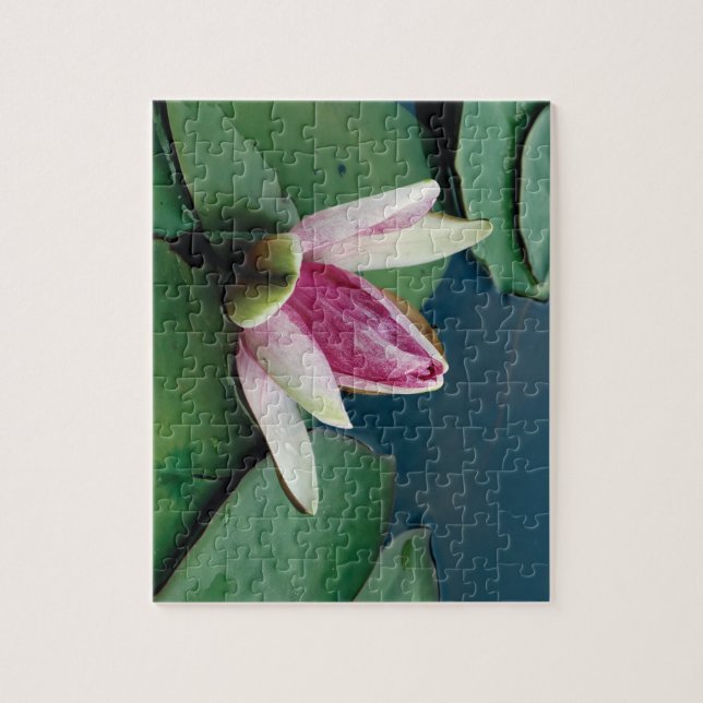 Lotus Flower 8x10 Photo Puzzle with Gift Box (Vertical)