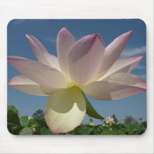 Lotus Flower and Blue Sky II Mouse Mat