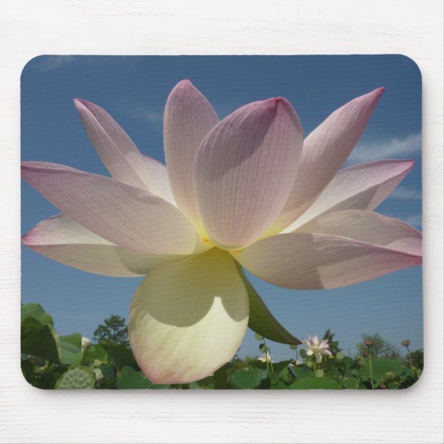 Lotus Flower and Blue Sky II Mouse Mat (Front)