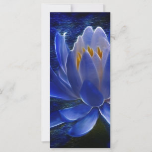 Lotus flower and its meaning
