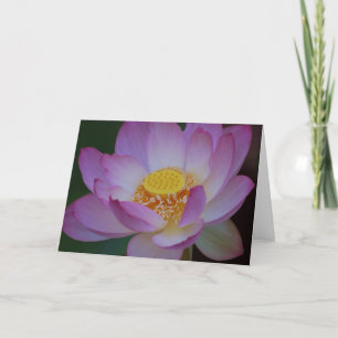 Lotus flower and its meaning holiday card