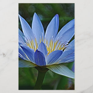 Lotus flower and meaning