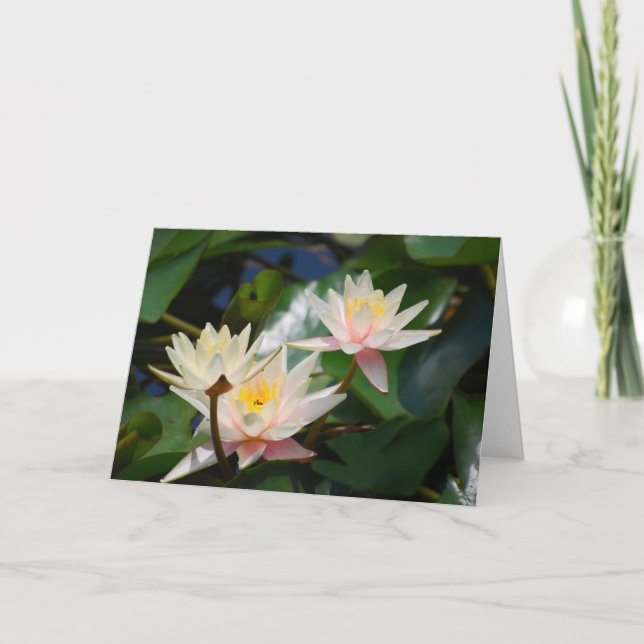 Lotus flower and meaning holiday card (Front)