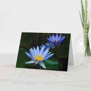 Lotus flower and meaning holiday card