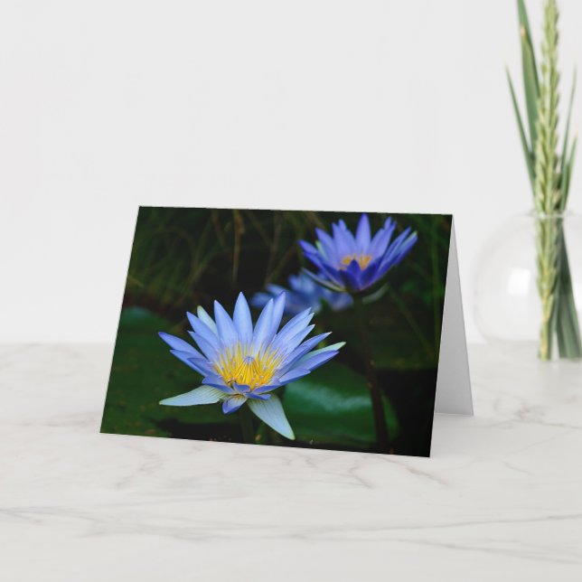 Lotus flower and meaning holiday card (Front)