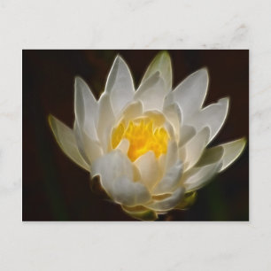 Lotus flower and meaning postcard