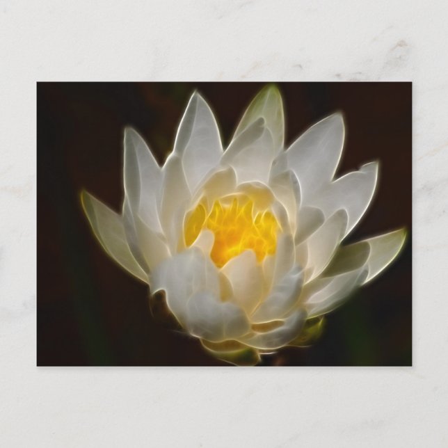 Lotus flower and meaning postcard (Front)