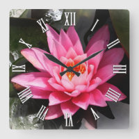 Lotus Flower blossom, Inner peace, Meditation