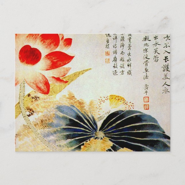 Lotus Flower Breaking the Surface Postcard (Front)