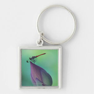 Lotus flower bud and a dragonfly key ring