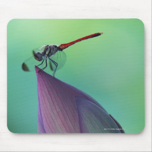 Lotus flower bud and a dragonfly mouse mat