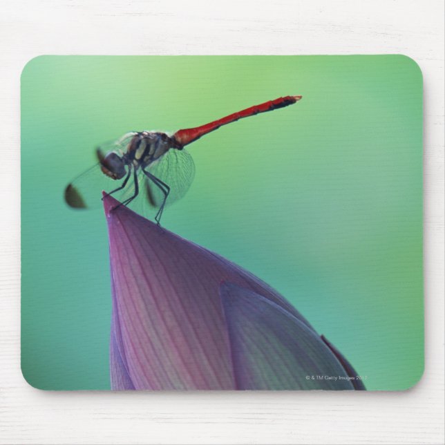 Lotus flower bud and a dragonfly mouse mat (Front)