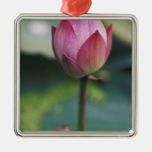 Lotus flower bud, Hangzhou, Zhejiang Province, Metal Tree Decoration