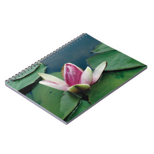 Lotus Flower Buddha Photo Notebook (80 Pages B&W)