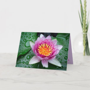 Lotus Flower Card