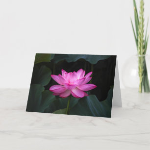 Lotus Flower Card
