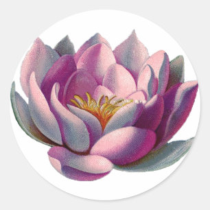 Lotus Flower Classic Round Sticker