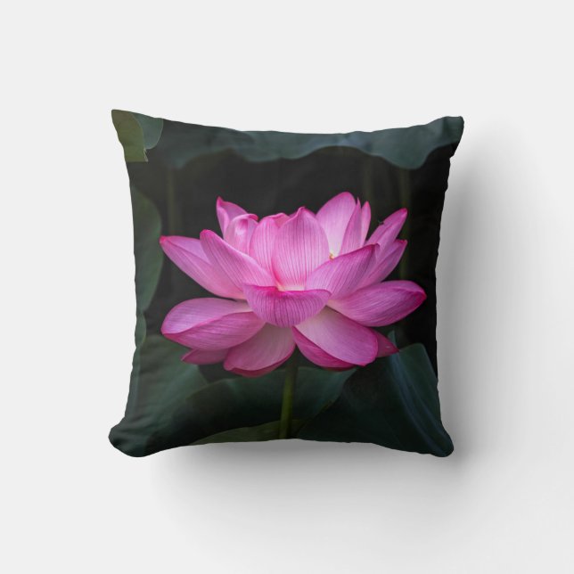 Lotus Flower Cushion (Front)