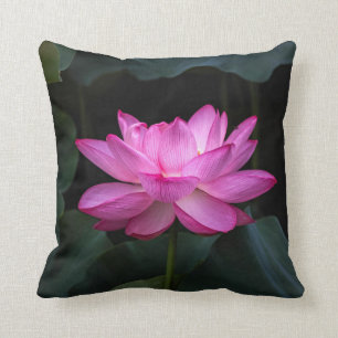 Lotus Flower Cushion