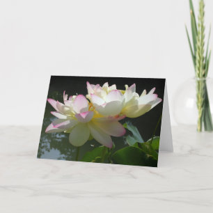 Lotus Flower Duet Card