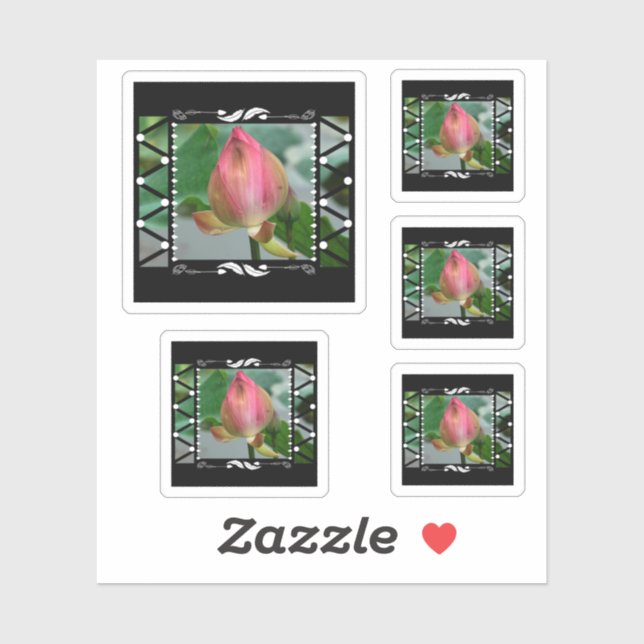 Lotus Flower Floral Geometric (Sheet)