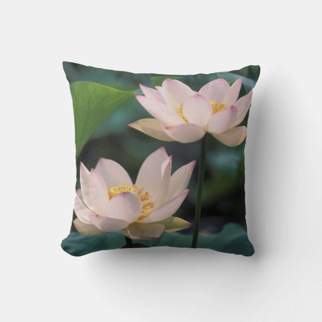 Lotus flower in blossom, China Cushion (Front)