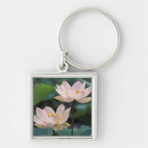 Lotus flower in blossom, China Key Ring