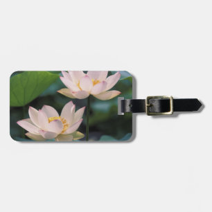Lotus flower in blossom, China Luggage Tag
