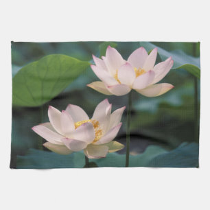Lotus flower in blossom, China Tea Towel