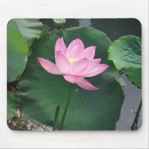 Lotus flower mouse mat