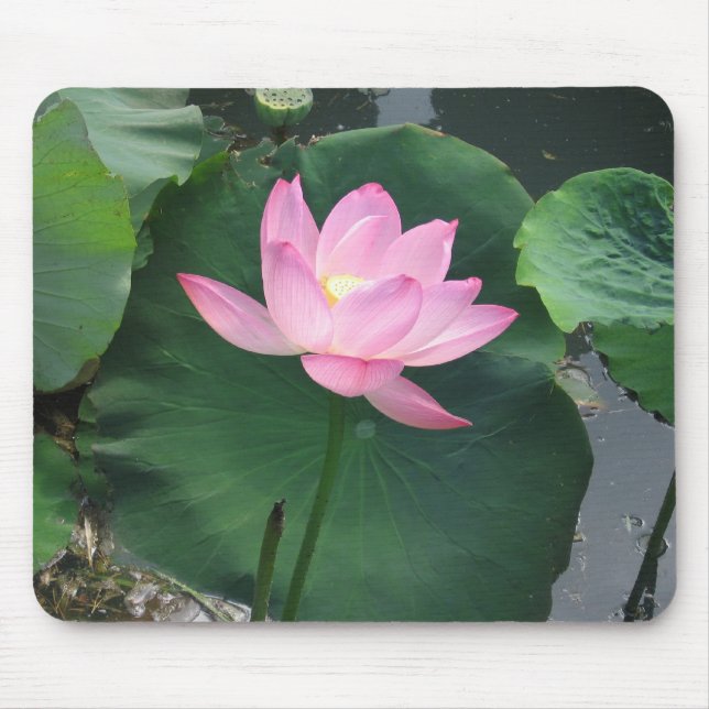 Lotus flower mouse mat (Front)