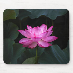 Lotus Flower Mouse Mat