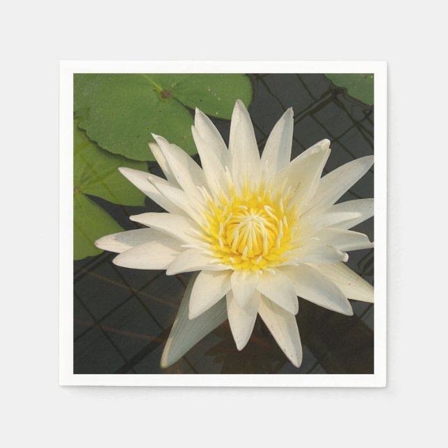 lotus, flower, nature, blossom, floral, plant, napkin (Front)