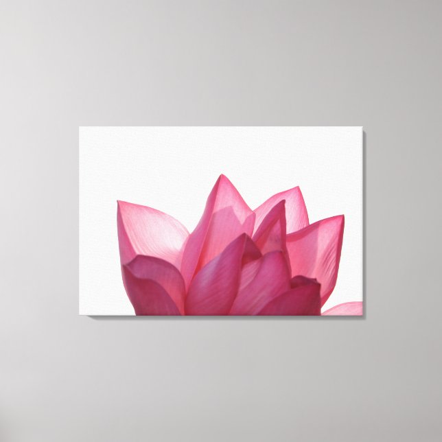 Lotus flower [Nelumbio speciosum] in full Canvas Print (Front)