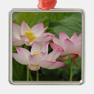 Lotus flower, Nelumbo nucifera, China 2 Metal Tree Decoration