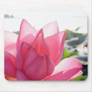 Lotus flower [Nelumbo speciosum] in full Mouse Mat