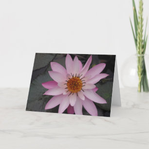 Lotus Flower Note Card