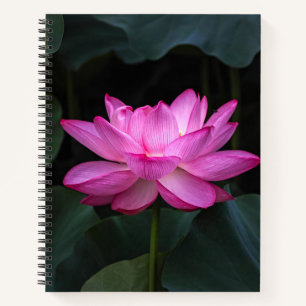 Lotus Flower Notebook